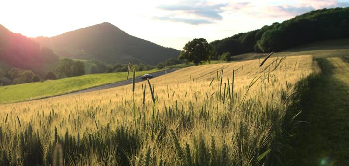 Ein Weizenfeld mit Bergen und dem Sonnenuntergang im Hintergrund